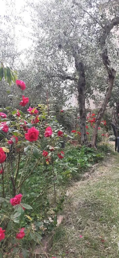 Guest house Giovanna 'S House Hotel Palazzone