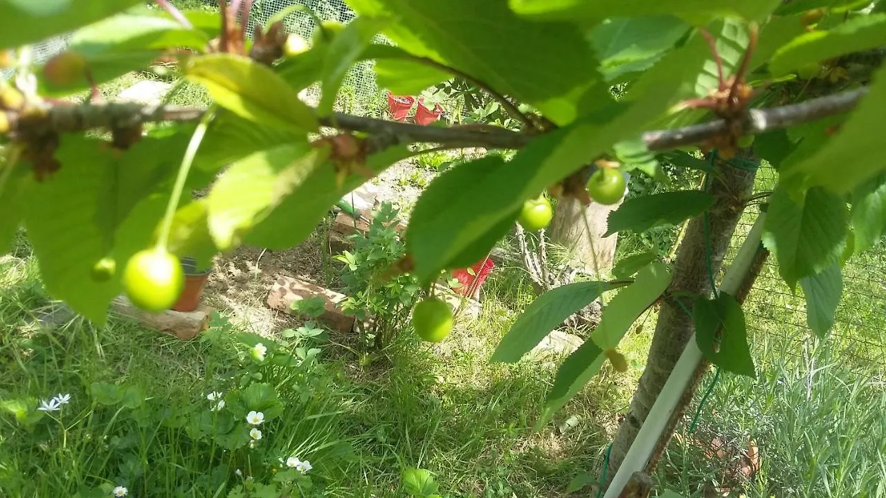 Guest house Giovanna 'S House Hotel Palazzone Italy