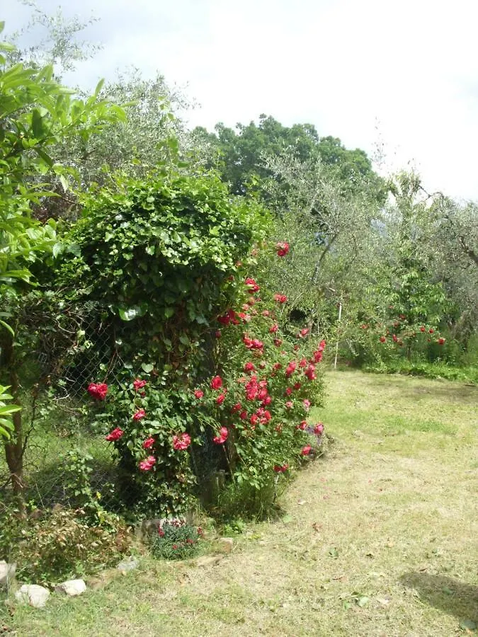 Konukevi Giovanna 'S House Otel Palazzone